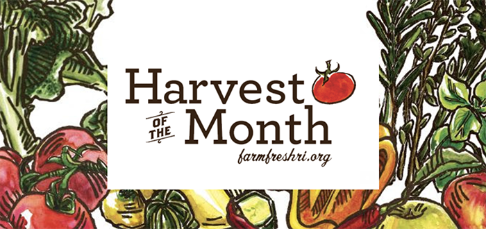 Header of the Harvest of the Month Seasonal Newsletter
