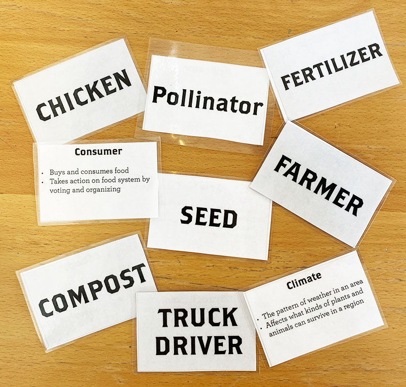 Example Cards for Activity. On front, name of role (chicken, pollinator, consumer, etc.); On back, small description of role to help participants. 